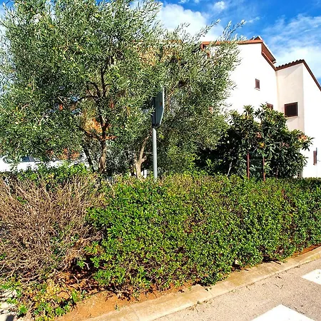 Apartment Dragan 1460
